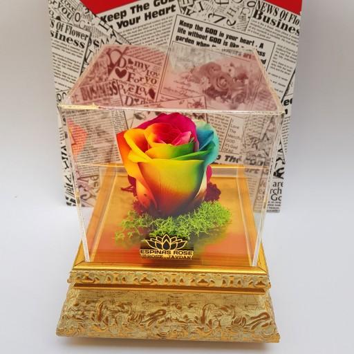 گل رز جاودان هفت رنگ همراه با باکس سلطنتی