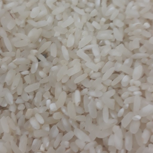 برنج چمپا میداوود