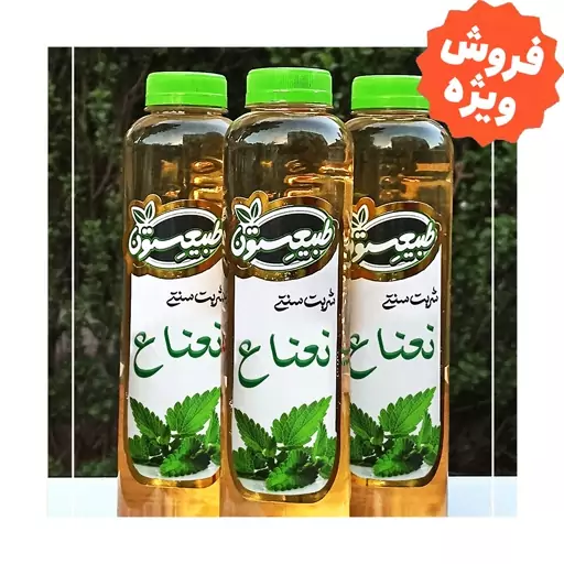 شربت نعنا سنتی سبزوار  (بدون رنگ و نگهدارنده )   - طبیعستون (850 گرم)