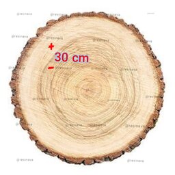 تنه درخت برش خورده 30 سانتی 