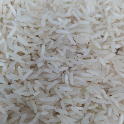 برنج طاررم هاشمی
