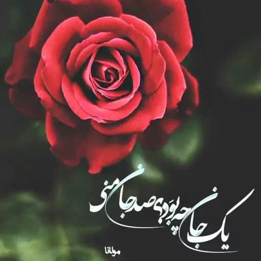 تابلو کاشی صد جان منی