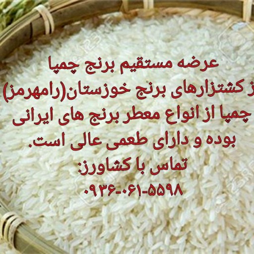 برنج چمپا(جهت سفارش و ارسال با شماره تماس موجود در تصویر هماهنگ گردد)