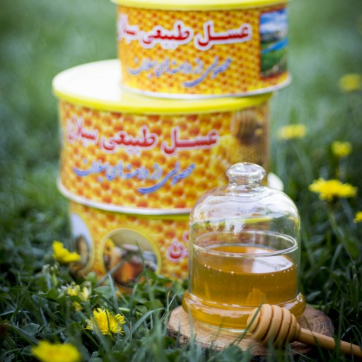 عسل طبیعی موم دار از دامنه های سبلان (1کیلو)