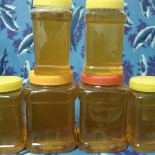 عسل یک کیلویی گون ساکارز زیر 5 درصد