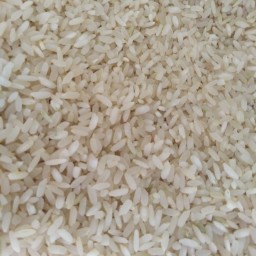 تست پخت برنج کامفیروزی امساله مرودشت اعلا و درجه 1 کاملا تضمینی