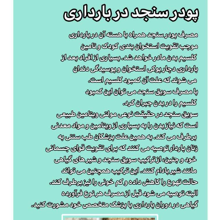 سویق سنجد اعلا 300 گرمی موسسه پژوهشی طبی بازرگانی سیمرغ