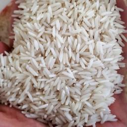 برنج طارم شیرودی  10 کیلویی با ارسال رایگان