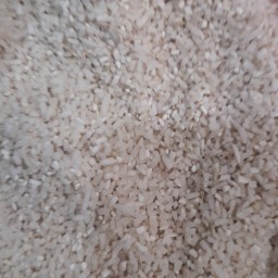 برنج نیم دانه ریز  طارم شمال امساله 10 کیلویی