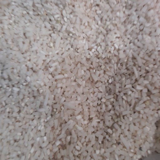 برنج نیم دانه ریز  طارم شمال امساله 10 کیلویی