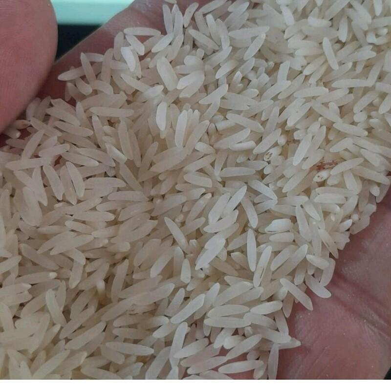 برنج فجر جنوب(10 کیلوگرمی)