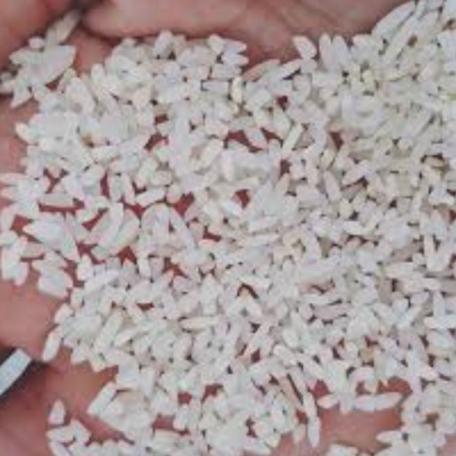 برنج نیم دانه هاشمی تک محصول گیلان ارسال با باربری (قبول سفارش بالای 50 کیلو)