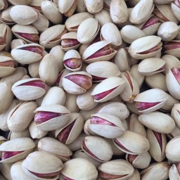 پسته احمداقایی دستچین بدون دهنبست بسته بندی1کیلویی