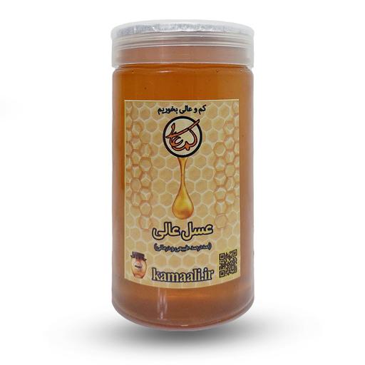 عسل عالی (آزمایش‌شده - ساکاروز 1.6)