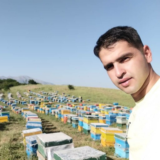 عسل طبیعی داماش عمارلو