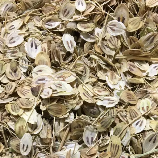 گلپر سالم 100 گرم( اسیاب نشده)