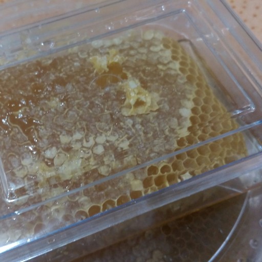 عسل مومدار نیمه تغذیه(بسته700گرمی)