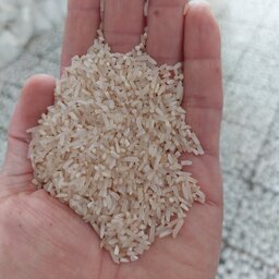 برنج سرلاشه فجراعلا