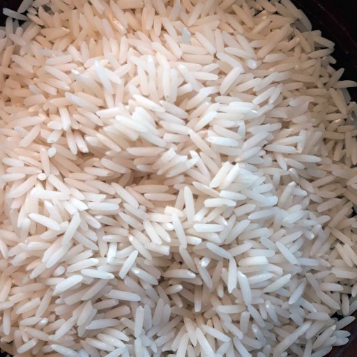 برنج دم سیاه رشت