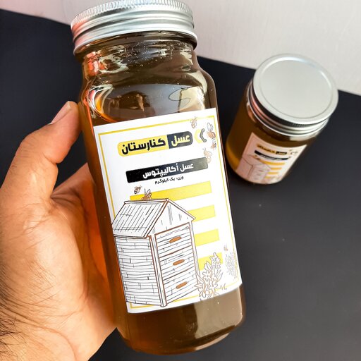 عسل اکالیپتوس اصل، کاملا طبیعی، ایرانی و خام  با برند کنارستان(1000 گرم خالص)