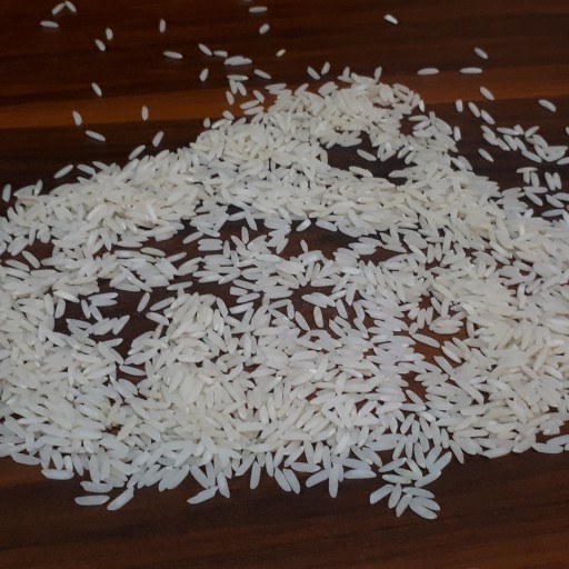 برنج طارم هاشمی ارسال رایگان (10کیلویی) 