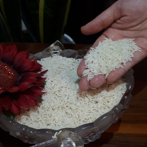 برنج طارم هاشمی ارسال رایگان (10کیلویی) 