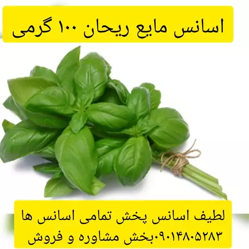 اسانس مایع ریحان 100 گرمی طعم دهنده قوی