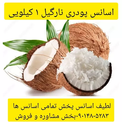 اسانس پودری نارگیل 1 کیلویی طعم دهنده قوی 