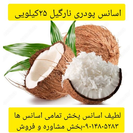 اسانس پودری نارگیل 25کیلویی طعم دهنده قوی 