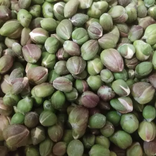 سبزی گیاهی خشک شده کبرگل(کاپاریس) 250 گرم 