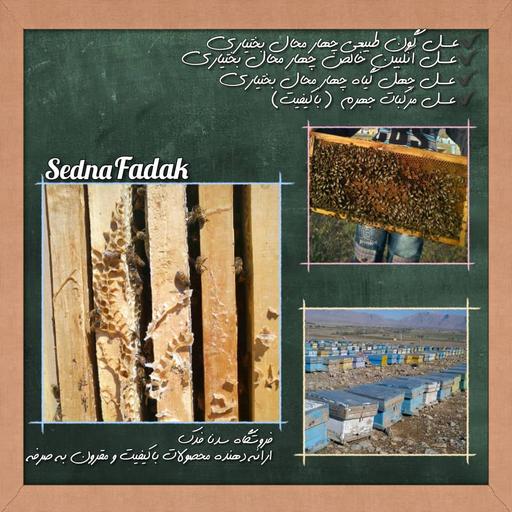 عسل کنار خوزستان بدون تغذیه با کیفیت بالا