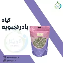 بادرنجبویه 65 گرم