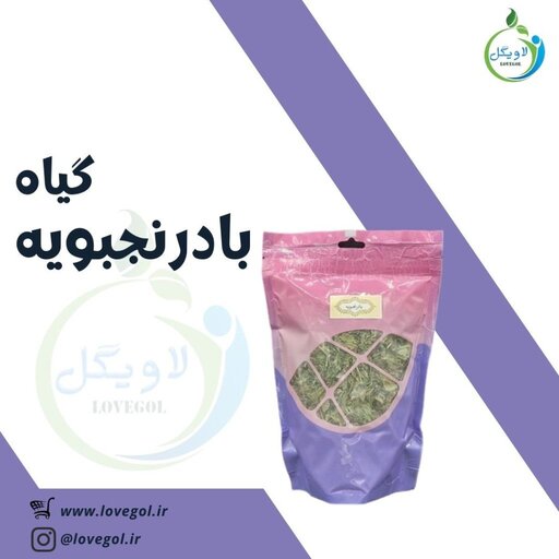 بادرنجبویه 65 گرم