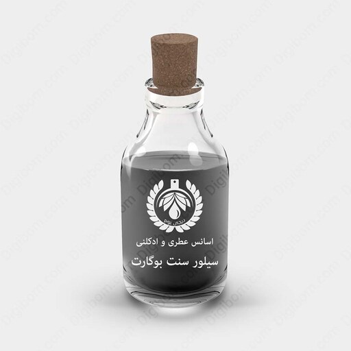 عطر جکس بوگارت سیلور سنت Jacques Bogart Silver Scent حجم 100 میل