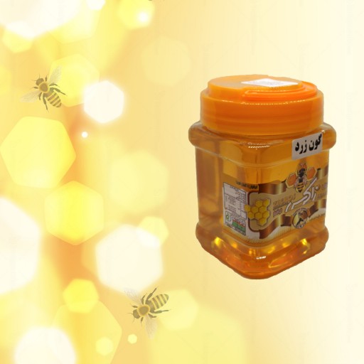 عسل تک گیاه گون زرد بدون موم طبیعی 500 گرم زاگرس