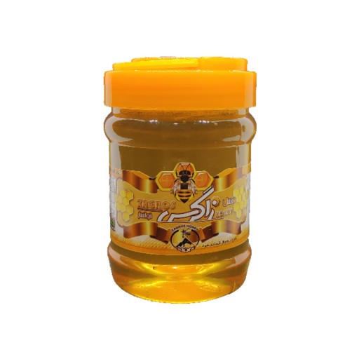 عسل چهل گیاه بدون موم طبیعی 500 گرم زاگرس