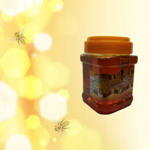 عسل تک گیاه کُنار بدون موم طبیعی 500 گرم زاگرس