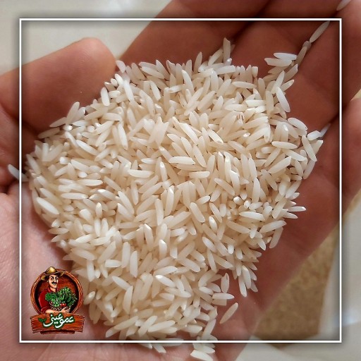 برنج دم سیاه شمال (عمو عینی)