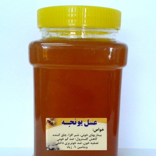 عسل یونجه طبیعی درمان کم خونی