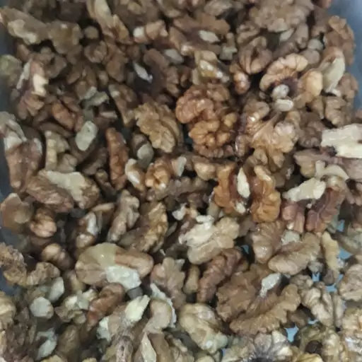 مغز گردو محلی تازه