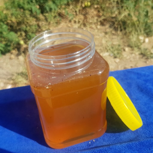 عسل کاملا طبیعی گون ، مستقیم از زنبوردار (2 کیلوگرم)