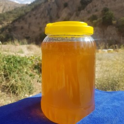 عسل خالص و طبیعی گون ( 4 کیلویی)