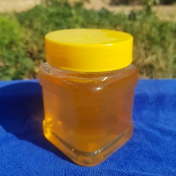 عسل طبیعی گون-آویشن (500گرم)