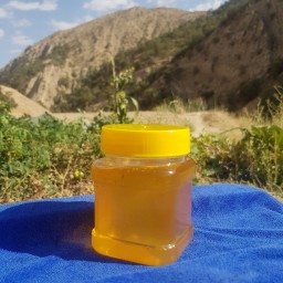 عسل طبیعی گون-آویشن (500گرم)