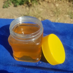 عسل طبیعی گون-آویشن (500گرم)