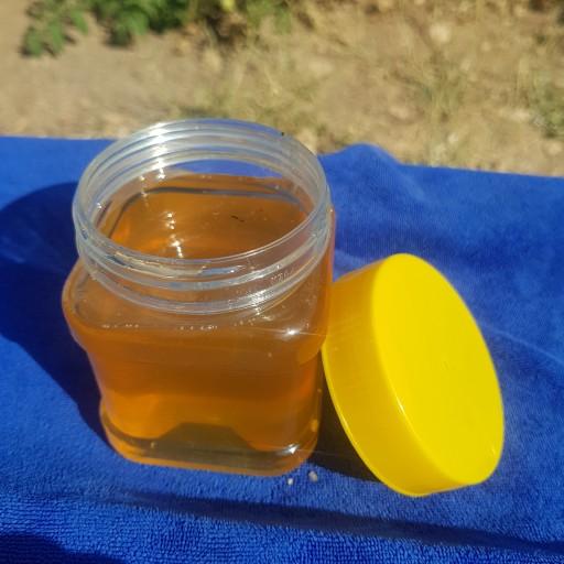 عسل کاملا طبیعی گون (500گرم)