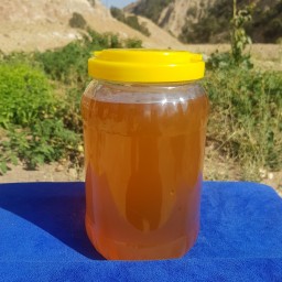 عسل خالص و طبیعی گون ( 4 کیلویی)