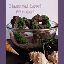 Natural bowl 001 ظرف طبیعت 