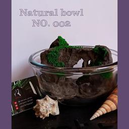 Natural bowl 002 ظرف طبیعت تنگ ماهی