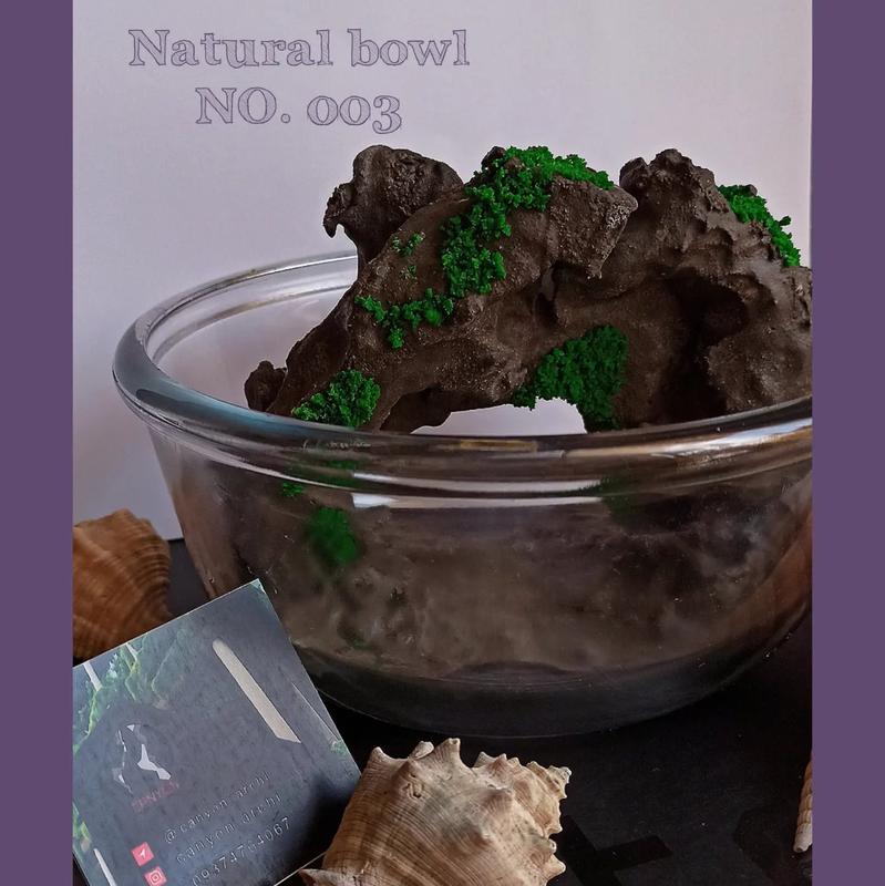 Natural bowl 003 ظرف طبیعت تنگ ماهی 